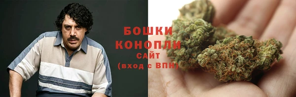 spice Кинешма