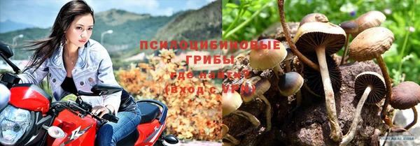 трава Киренск