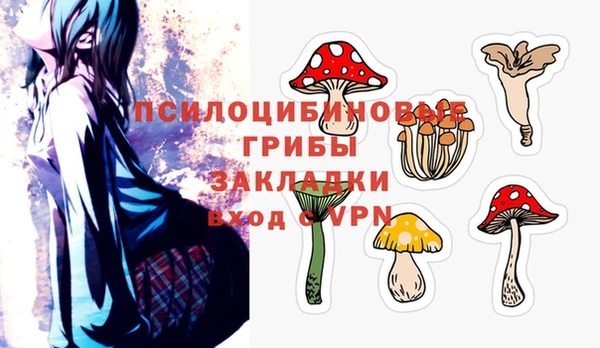 трава Киренск