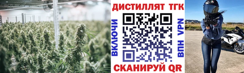 Дистиллят ТГК жижа  Купить где  Феодосия 
